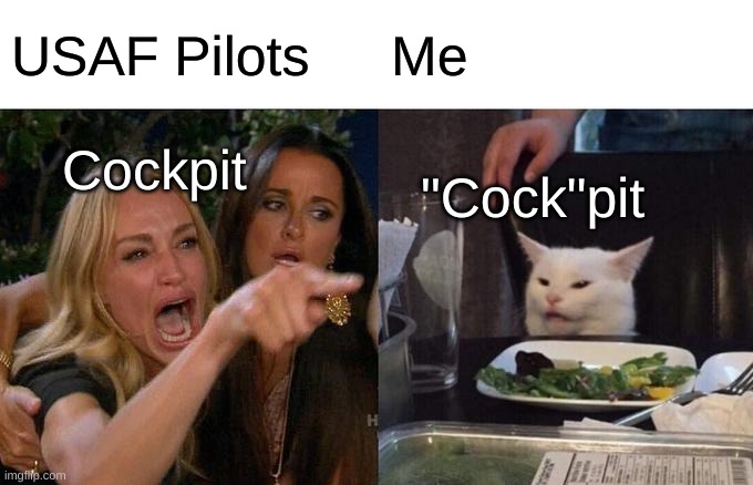 USAF Pilots be like | USAF Pilots; Me; Cockpit; "Cock"pit | image tagged in memes,woman yelling at cat | made w/ Imgflip meme maker