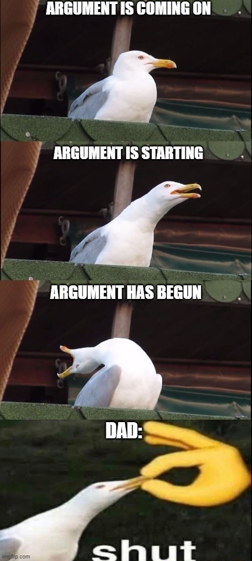 Segull Scream | ARGUMENT IS COMING ON; ARGUMENT IS STARTING; ARGUMENT HAS BEGUN; DAD: | image tagged in segull scream | made w/ Imgflip meme maker