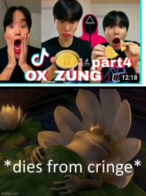 image tagged in dies from cringe | made w/ Imgflip meme maker