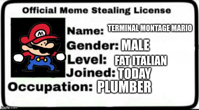 Meme Stealing License | TERMINAL MONTAGE MARIO; MALE; FAT ITALIAN; TODAY; PLUMBER | image tagged in meme stealing license | made w/ Imgflip meme maker