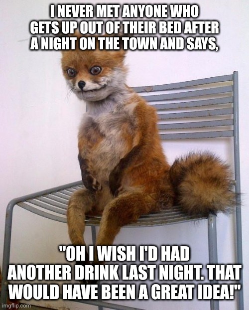 Drunk fox, no regrets | I NEVER MET ANYONE WHO GETS UP OUT OF THEIR BED AFTER A NIGHT ON THE TOWN AND SAYS, "OH I WISH I'D HAD ANOTHER DRINK LAST NIGHT. THAT WOULD HAVE BEEN A GREAT IDEA!" | image tagged in stoned fox,drunk,drinking,booze,liquor | made w/ Imgflip meme maker