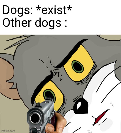 Unsettled Tom Meme | Dogs: *exist*

Other dogs : | image tagged in memes,unsettled tom | made w/ Imgflip meme maker