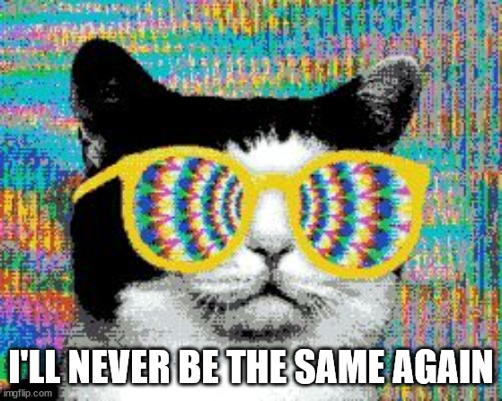 psychedelic cat | I'LL NEVER BE THE SAME AGAIN | image tagged in psychedelic cat | made w/ Imgflip meme maker