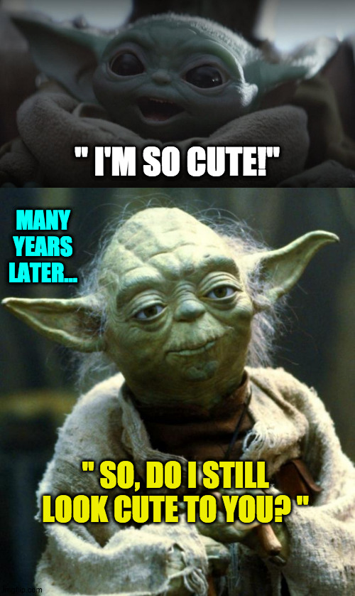 HE DID NOT AGE WELL | " I'M SO CUTE!"; MANY YEARS LATER... " SO, DO I STILL LOOK CUTE TO YOU? " | image tagged in fun | made w/ Imgflip meme maker