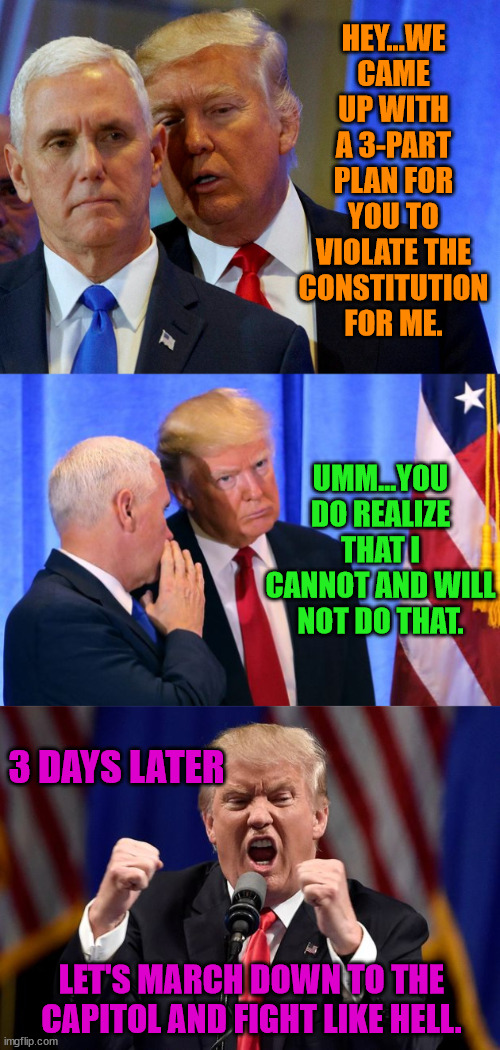 No wonder Trump's Proud Boys were screaming for Pence. | HEY...WE CAME UP WITH A 3-PART PLAN FOR YOU TO VIOLATE THE CONSTITUTION FOR ME. UMM...YOU DO REALIZE THAT I CANNOT AND WILL NOT DO THAT. 3 DAYS LATER; LET'S MARCH DOWN TO THE CAPITOL AND FIGHT LIKE HELL. | image tagged in trump lost,j4j6,insurrection,mike pence,ivanka | made w/ Imgflip meme maker