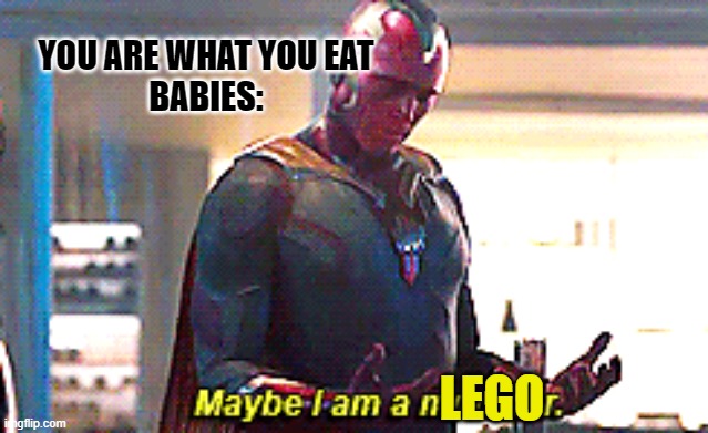 you are what you eat |  YOU ARE WHAT YOU EAT
BABIES:; LEGO | image tagged in maybe i am a monster | made w/ Imgflip meme maker