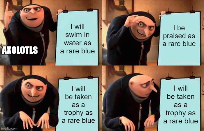 Gru's Plan | I will swim in water as a rare blue; I be praised as a rare blue; AXOLOTLS; I will be taken as a trophy as a rare blue; I will be taken as a trophy as a rare blue | image tagged in memes,gru's plan | made w/ Imgflip meme maker