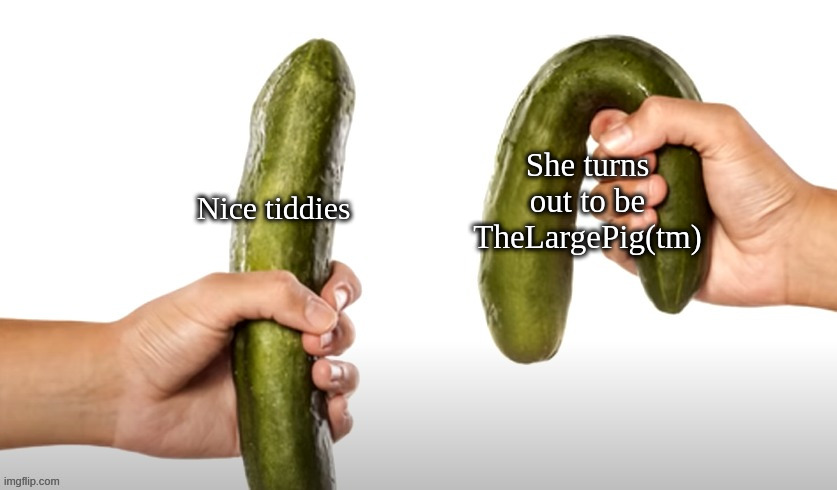 She turns out to be TheLargePig(tm); Nice tiddies | made w/ Imgflip meme maker
