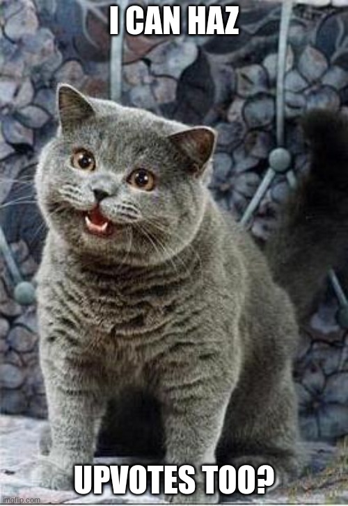 I can has cheezburger cat | I CAN HAZ; UPVOTES TOO? | image tagged in i can has cheezburger cat | made w/ Imgflip meme maker