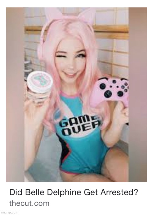 Did Belle Delphine Get Arrested?