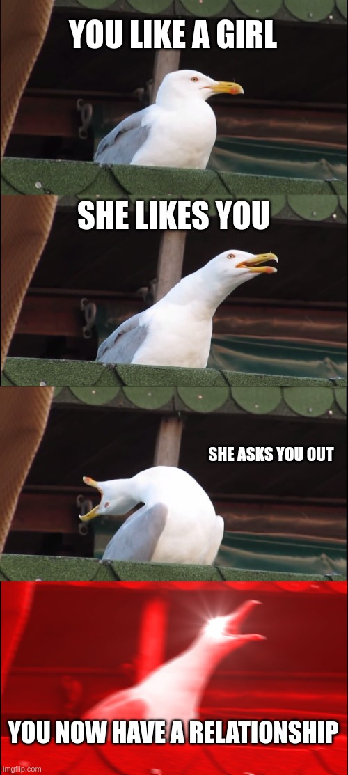 she likes you | YOU LIKE A GIRL; SHE LIKES YOU; SHE ASKS YOU OUT; YOU NOW HAVE A RELATIONSHIP | image tagged in memes,inhaling seagull | made w/ Imgflip meme maker