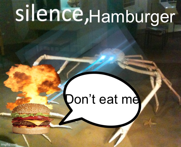 Silence hamburger |  Hamburger; Don’t eat me | image tagged in silence crab,hamburger,explosion | made w/ Imgflip meme maker