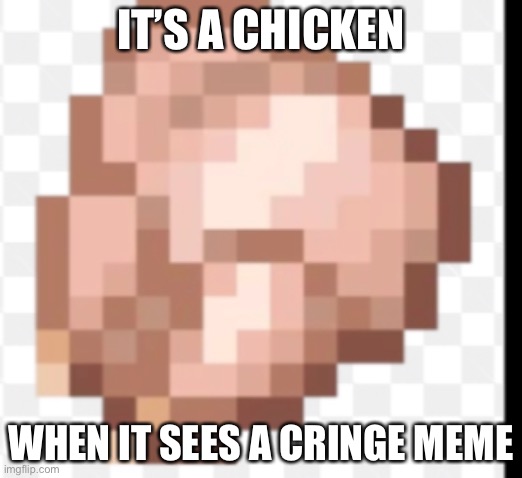 Raw chicken | IT’S A CHICKEN; WHEN IT SEES A CRINGE MEME | image tagged in raw chicken,cringe | made w/ Imgflip meme maker