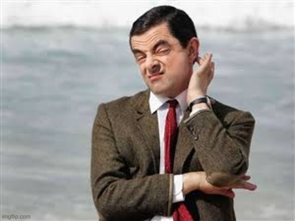 Mr Bean Sarcastic | image tagged in mr bean sarcastic | made w/ Imgflip meme maker