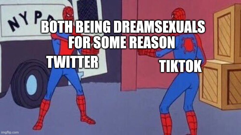 Just why | BOTH BEING DREAMSEXUALS FOR SOME REASON; TWITTER; TIKTOK | image tagged in spiderman pointing at spiderman | made w/ Imgflip meme maker