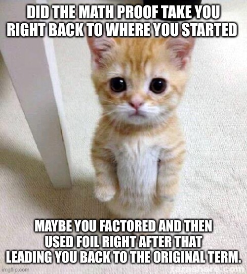 Math Proof problem | DID THE MATH PROOF TAKE YOU RIGHT BACK TO WHERE YOU STARTED; MAYBE YOU FACTORED AND THEN USED FOIL RIGHT AFTER THAT LEADING YOU BACK TO THE ORIGINAL TERM. | image tagged in memes,cute cat,math,mathematics,proof | made w/ Imgflip meme maker