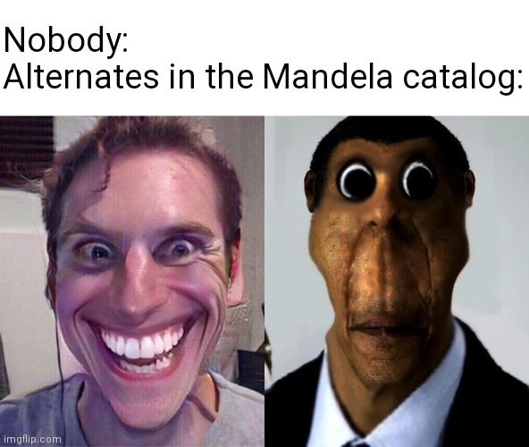 Nobody:
Alternates in the Mandela catalog: | image tagged in when imp sus | made w/ Imgflip meme maker