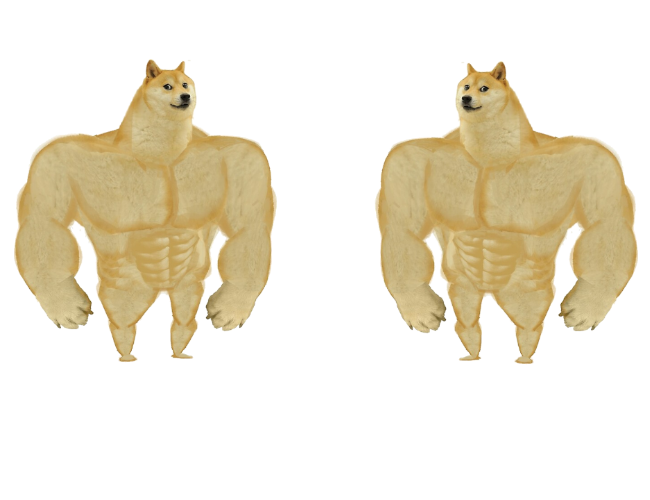 High Quality Two Buff doges Blank Meme Template