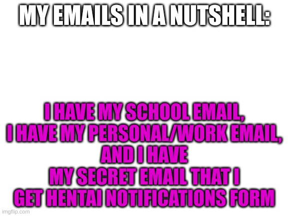 lmao | MY EMAILS IN A NUTSHELL:; I HAVE MY SCHOOL EMAIL,
I HAVE MY PERSONAL/WORK EMAIL,
AND I HAVE MY SECRET EMAIL THAT I GET HENTAI NOTIFICATIONS FORM | image tagged in blank white template | made w/ Imgflip meme maker