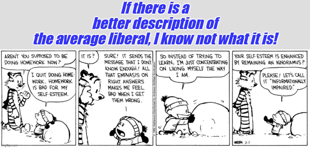 And "informationally impaired" is the understatement of the century! | If there is a better description of the average liberal, I know not what it is! | image tagged in liberal logic,stupid liberals,democrats,ignorant | made w/ Imgflip meme maker