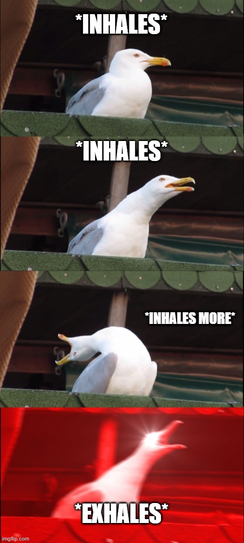 Inhaling Seagull | *INHALES*; *INHALES*; *INHALES MORE*; *EXHALES* | image tagged in memes,inhaling seagull | made w/ Imgflip meme maker