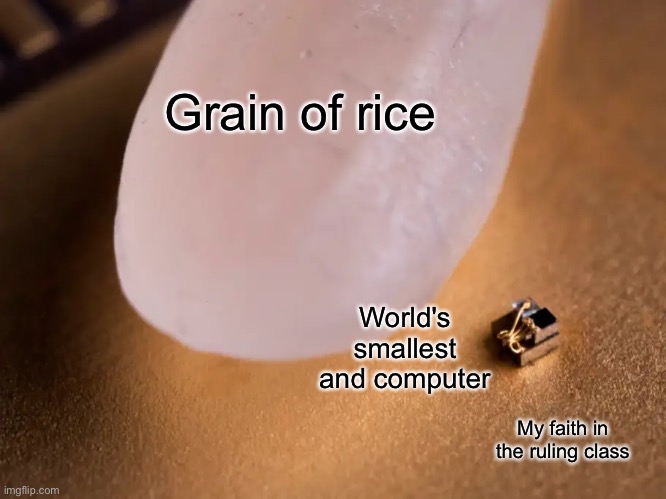 worlds smallest computer | Grain of rice World's smallest and computer My faith in the ruling class | image tagged in worlds smallest computer | made w/ Imgflip meme maker