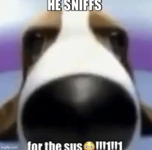 sniff | made w/ Imgflip meme maker