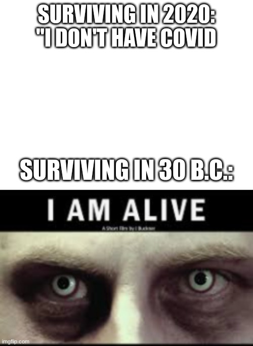 *inserts ___ title | SURVIVING IN 2020: "I DON'T HAVE COVID; SURVIVING IN 30 B.C.: | image tagged in blank white template | made w/ Imgflip meme maker