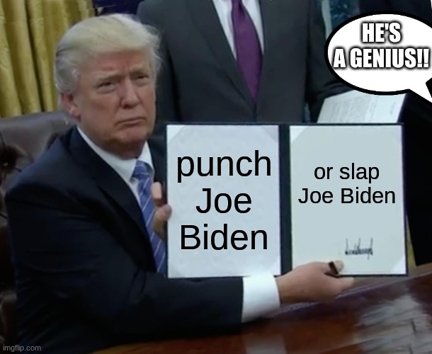 huilh | HE'S A GENIUS!! punch Joe Biden; or slap Joe Biden | image tagged in memes,trump bill signing | made w/ Imgflip meme maker