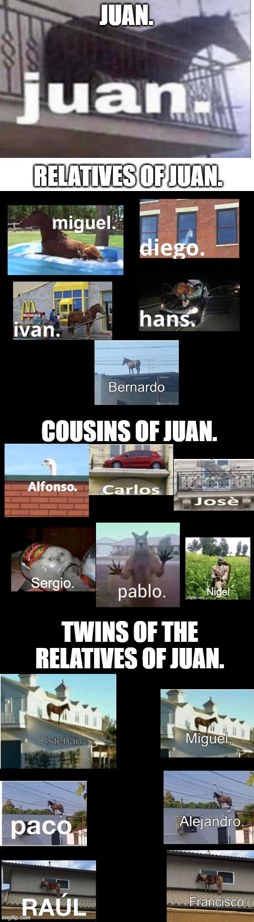Juan family | JUAN. RELATIVES OF JUAN. COUSINS OF JUAN. TWINS OF THE RELATIVES OF JUAN. | image tagged in blank white template | made w/ Imgflip meme maker