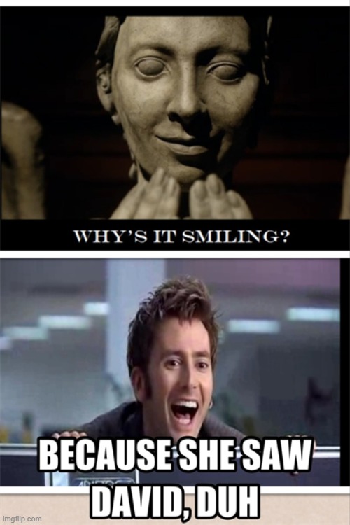 doctor who meme | image tagged in doctor who,weeping angel,david tennant | made w/ Imgflip meme maker