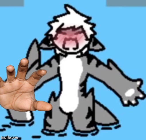 Tiger Shark rage | image tagged in tiger shark rage | made w/ Imgflip meme maker
