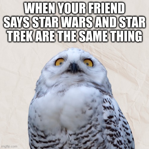 This does happen | WHEN YOUR FRIEND SAYS STAR WARS AND STAR TREK ARE THE SAME THING | image tagged in star wars,star trek,owl | made w/ Imgflip meme maker