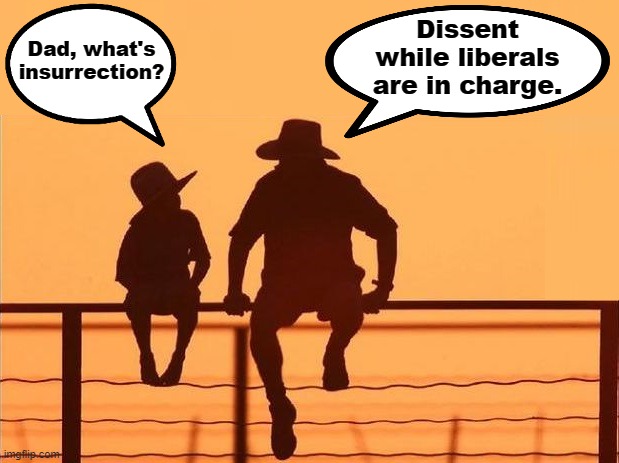 Dad, what's
insurrection? Dissent while liberals are in charge. | made w/ Imgflip meme maker