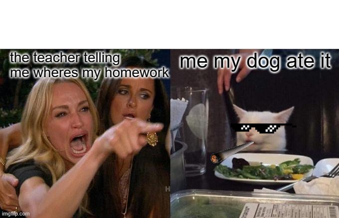 Woman Yelling At Cat Meme | me my dog ate it; the teacher telling me wheres my homework | image tagged in memes,woman yelling at cat | made w/ Imgflip meme maker