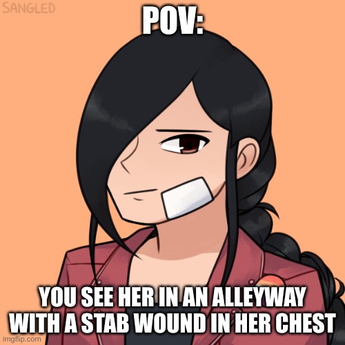 no erp, no joke ocs or bambi, and enjoy this rp | POV:; YOU SEE HER IN AN ALLEYWAY WITH A STAB WOUND IN HER CHEST | made w/ Imgflip meme maker