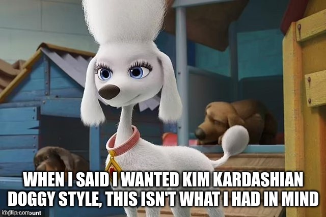 Kim Kardashian Doggy Style | WHEN I SAID I WANTED KIM KARDASHIAN DOGGY STYLE, THIS ISN'T WHAT I HAD IN MIND | image tagged in kim kardashian | made w/ Imgflip meme maker