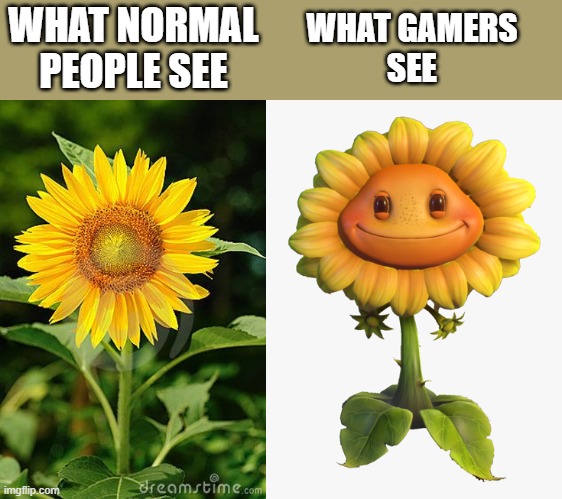 What do YOU see when you see a sunflower | WHAT NORMAL
PEOPLE SEE; WHAT GAMERS
SEE | image tagged in memes | made w/ Imgflip meme maker
