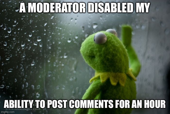 kermit window |  A MODERATOR DISABLED MY; ABILITY TO POST COMMENTS FOR AN HOUR | image tagged in kermit window,imgflip mods | made w/ Imgflip meme maker