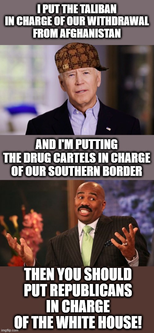 You want hope and change?! | I PUT THE TALIBAN IN CHARGE OF OUR WITHDRAWAL
FROM AFGHANISTAN; AND I'M PUTTING THE DRUG CARTELS IN CHARGE OF OUR SOUTHERN BORDER; THEN YOU SHOULD
PUT REPUBLICANS IN CHARGE OF THE WHITE HOUSE! | image tagged in joe biden 2020,memes,steve harvey,joe biden,taliban,drug cartels | made w/ Imgflip meme maker