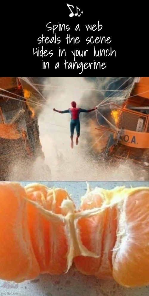 Spider-Man, Spider-Man | Spins a web
steals the scene
Hides in your lunch
in a tangerine | image tagged in funny memes,bad jokes,eyeroll | made w/ Imgflip meme maker