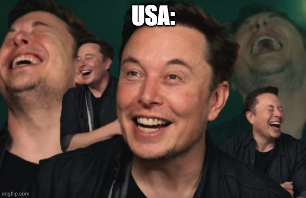 Elon Musk Laughing | USA: | image tagged in elon musk laughing | made w/ Imgflip meme maker