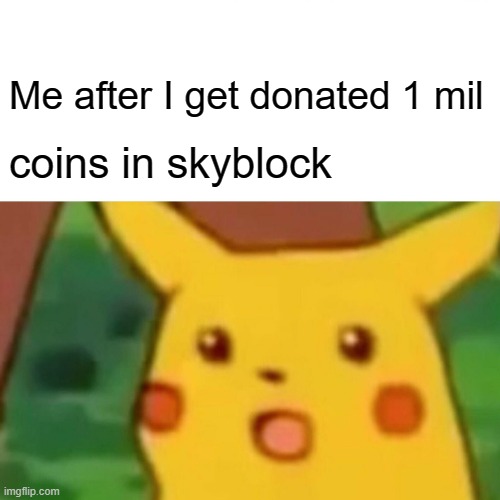 yo | Me after I get donated 1 mil; coins in skyblock | image tagged in memes,surprised pikachu | made w/ Imgflip meme maker
