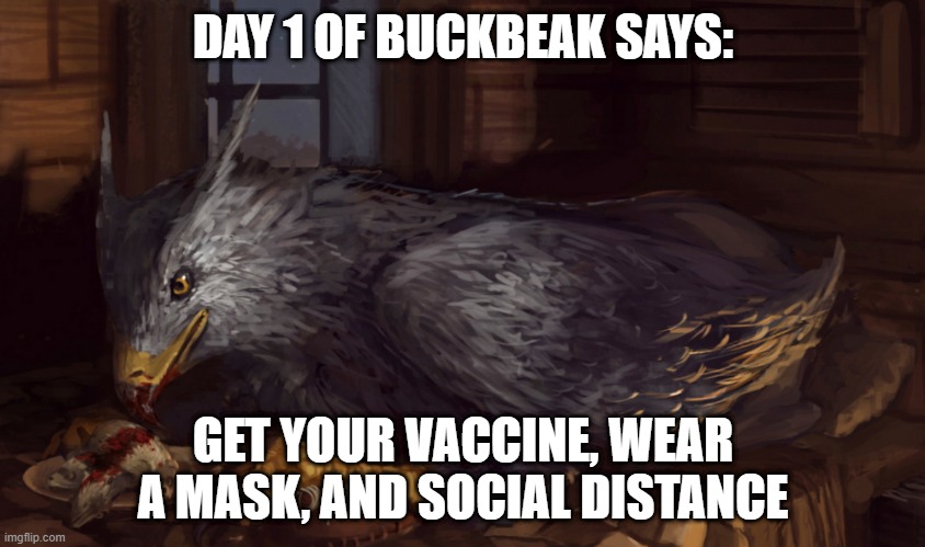 Buckbeak | DAY 1 OF BUCKBEAK SAYS:; GET YOUR VACCINE, WEAR A MASK, AND SOCIAL DISTANCE | image tagged in buckbeak | made w/ Imgflip meme maker