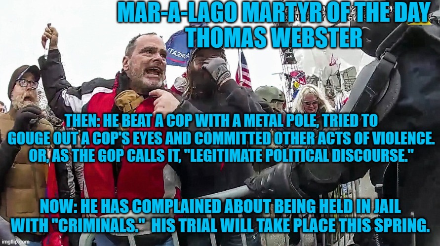 He is one of almost 200 perpetrators of violent acts against cops. | MAR-A-LAGO MARTYR OF THE DAY
THOMAS WEBSTER; THEN: HE BEAT A COP WITH A METAL POLE, TRIED TO GOUGE OUT A COP'S EYES AND COMMITTED OTHER ACTS OF VIOLENCE. OR, AS THE GOP CALLS IT, "LEGITIMATE POLITICAL DISCOURSE."; NOW: HE HAS COMPLAINED ABOUT BEING HELD IN JAIL WITH "CRIMINALS."  HIS TRIAL WILL TAKE PLACE THIS SPRING. | image tagged in politics | made w/ Imgflip meme maker