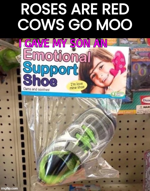 EMS | ROSES ARE RED
COWS GO MOO; I GAVE MY SON AN | image tagged in shoe,memes,funny | made w/ Imgflip meme maker