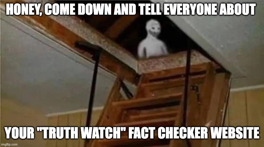 wojak attic | HONEY, COME DOWN AND TELL EVERYONE ABOUT; YOUR "TRUTH WATCH" FACT CHECKER WEBSITE | image tagged in wojak attic | made w/ Imgflip meme maker