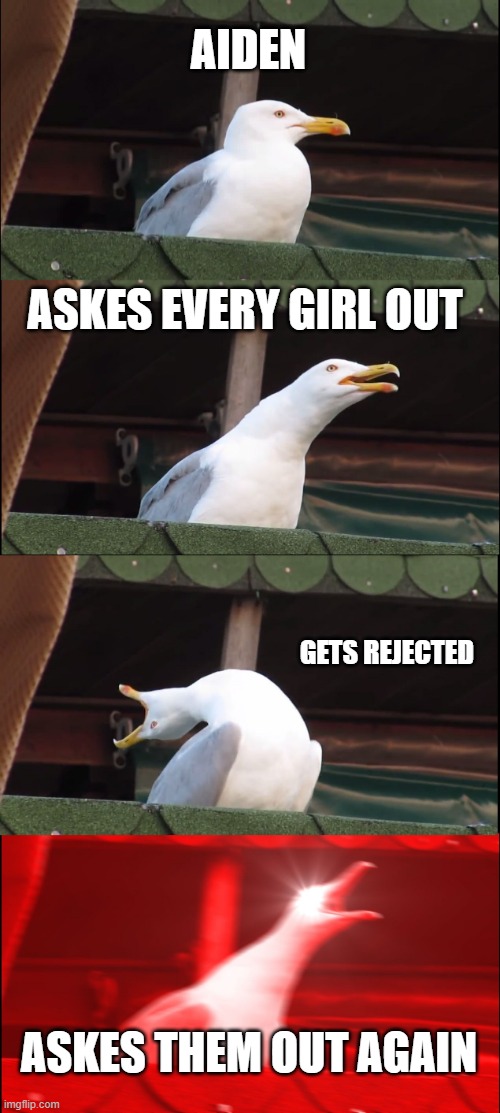 Inhaling Seagull | AIDEN; ASKES EVERY GIRL OUT; GETS REJECTED; ASKES THEM OUT AGAIN | image tagged in memes,inhaling seagull | made w/ Imgflip meme maker