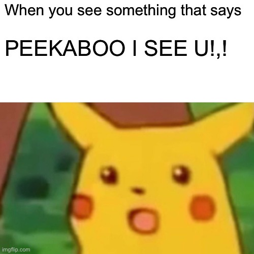 Surprised Pikachu Meme | When you see something that says PEEKABOO I SEE U!,! | image tagged in memes,surprised pikachu | made w/ Imgflip meme maker