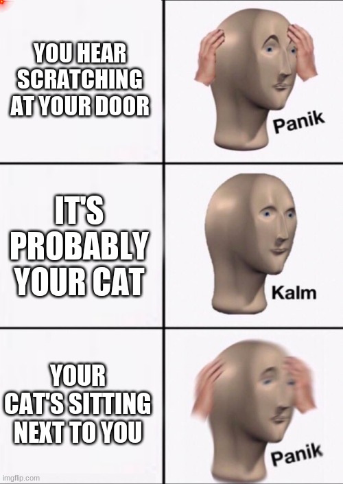 Stonks Panic Calm Panic | YOU HEAR SCRATCHING AT YOUR DOOR; IT'S PROBABLY YOUR CAT; YOUR CAT'S SITTING NEXT TO YOU | image tagged in stonks panic calm panic | made w/ Imgflip meme maker